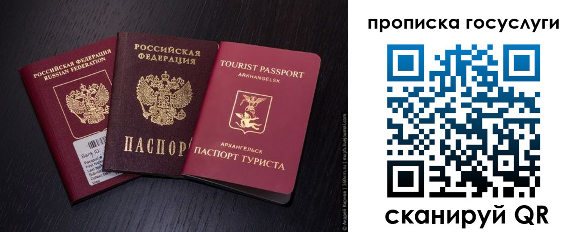прописка 2025 в Пионерском